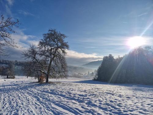 a tree in a snow covered field with the sun at Hotel Platzhirsch in Gaggenau