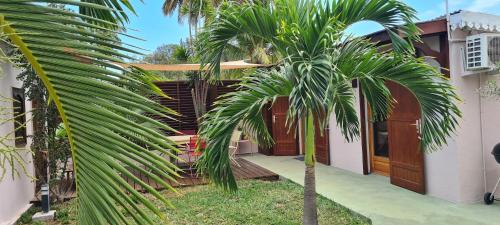 una palmera frente a una casa en Bungalow de charme, en La Saline-Les-Bains