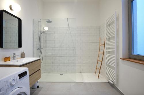ein Bad mit einer Dusche, einem Waschbecken und einem Spiegel in der Unterkunft South Cosy Residence in Brüssel