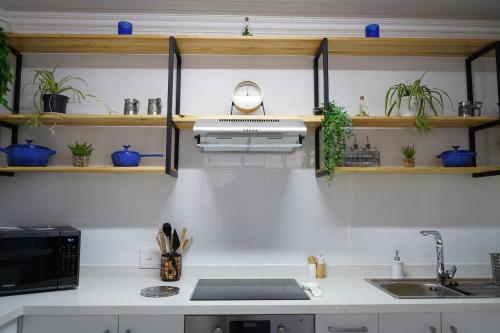 una cocina con fregadero y estanterías con plantas en Nature's Rest, en Ciudad del Cabo