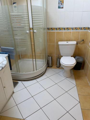łazienka z prysznicem i toaletą w obiekcie Le Haouret w mieście Parleboscq