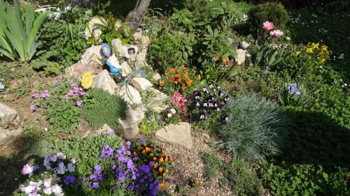 a garden with many different flowers and plants at Valloris Apartments in Hévíz