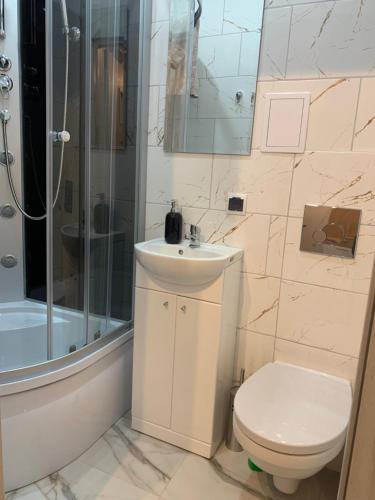 ein Bad mit einem WC, einem Waschbecken und einer Dusche in der Unterkunft Ropienka ski micro in Wańkowa