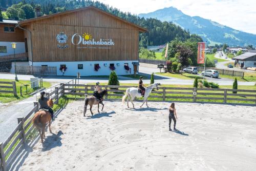 Gallery image of Erlebnisgut & Reiterhof Oberhabach in Kirchdorf in Tirol