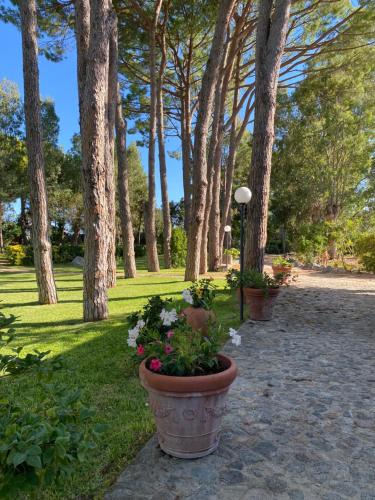 Zahrada ubytování Villa Marina Piccola