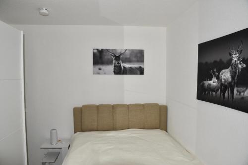 バイアースブロンにあるAppartement Wolf Nummer 69のベッドルーム1室(鹿の写真が壁に飾られたベッド1台付)