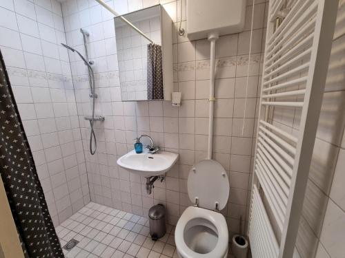 uma pequena casa de banho com WC e lavatório em Zilt Zand em De Koog