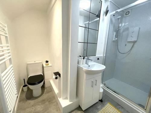 a bathroom with a toilet and a sink and a shower at Modern studio apartment; 10min walk to town & quay in Exeter