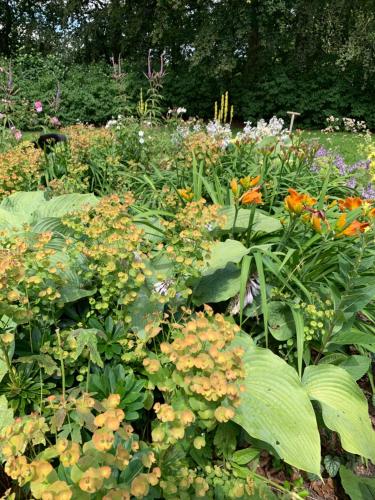 a garden filled with lots of flowers and plants at Gartnerhuset på Kollerup in Hadsten Stationsby