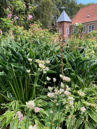 a garden with flowers and a house in the background at Gartnerhuset på Kollerup in Hadsten Stationsby