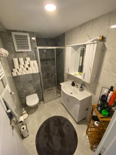 a bathroom with a shower and a toilet and a sink at Private Room in Istanbul #38 in Istanbul