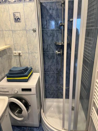 Koupelna v ubytování Apartmán Strážný