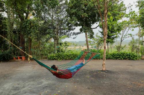 Ein Garten an der Unterkunft Kudajadri Drizzle Homestay
