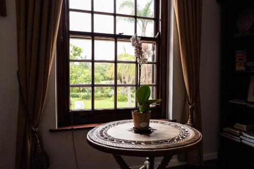 a table with a plant on it in front of a window at Cape Village Lodge in Durbanville