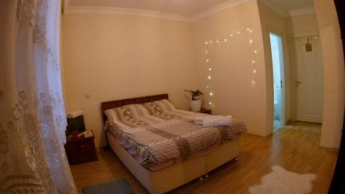 1 dormitorio con 1 cama con luces en la pared en Private Room in Istanbul #45, en Tuzla