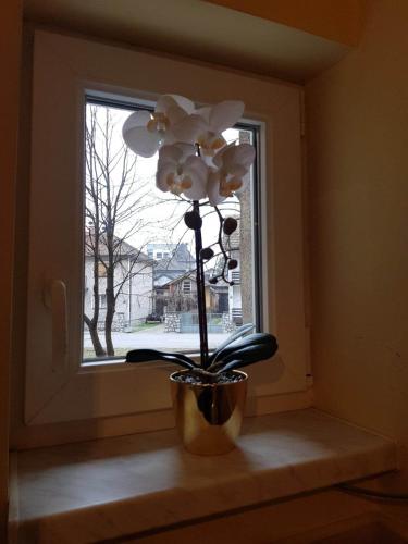 Φωτογραφία από το άλμπουμ του Apartman Fine Rest Brcko σε Brčko