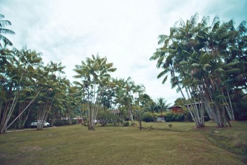 Photo de la galerie de l'établissement Vila Noah Pousada, à Parati