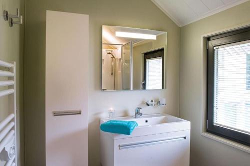 W łazience znajduje się umywalka i lustro. w obiekcie Villa 2 chambres au bord du lac de l'Eau d'Heure w mieście Froid-Chapelle