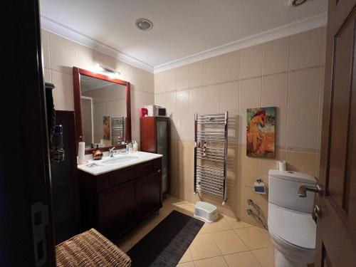y baño con lavabo, aseo y espejo. en Private Room in Istanbul #48, en Tuzla