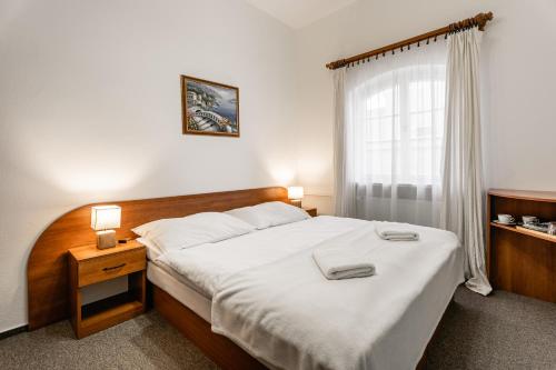 Postel nebo postele na pokoji v ubytování Vila Vyšehrad