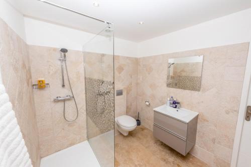 a bathroom with a shower and a toilet and a sink at Villa Le Bastidou in Le Plan-de-la-Tour