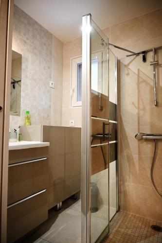 une salle de bain avec douche et lavabo dans l'établissement Maison chaleureuse, à Lège-Cap-Ferret