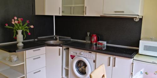 a kitchen with a washing machine and a sink at Vieno kambario butas su balkonu in Kaunas