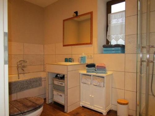 uma casa de banho com um lavatório, um WC e um espelho. em Chalet Waldstadl, Andrea's Woidhaisl em Arnbruck