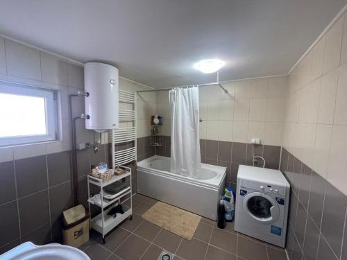 a bathroom with a shower and a washing machine at Antic Apartment in Požarevac