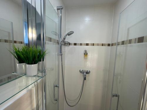 La salle de bains est pourvue d'une douche avec une porte en verre. dans l'établissement Studio D Cosy Parc des expositions Roissy CDG Airport, à Vaujours