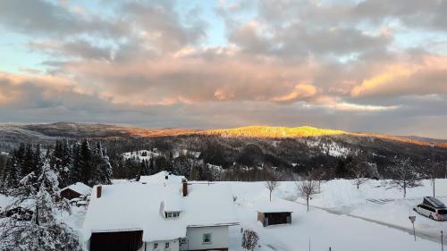 ミッターフィルミアンシュロイトにあるTwo Apartaments Almberg - Mitterdorf-Mitterfirmiansreutの雪山・木々の冬の景色