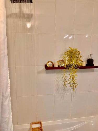 a bathroom with a white tub and a plant on a shelf at Les Petites Fécampoises by Mathilde in Fécamp