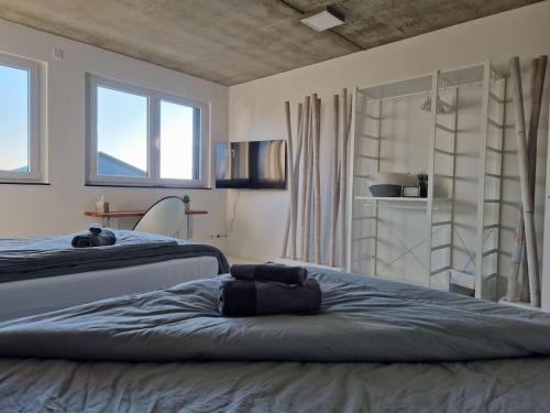 1 dormitorio con 2 camas, TV y 2 ventanas en Exklusives Design-Penthouse MC1, en Seligenstadt