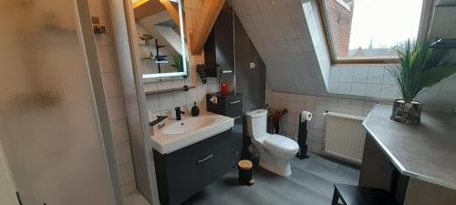 a bathroom with a sink and a toilet at Best-Preis -VIP Lounge- mit Netflix, Self-Check-In, eBike Ladestation, Fahrradraum, WLAN und Netflix - direkt am Elberadweg im Herzen von Wittenberge in Wittenberge