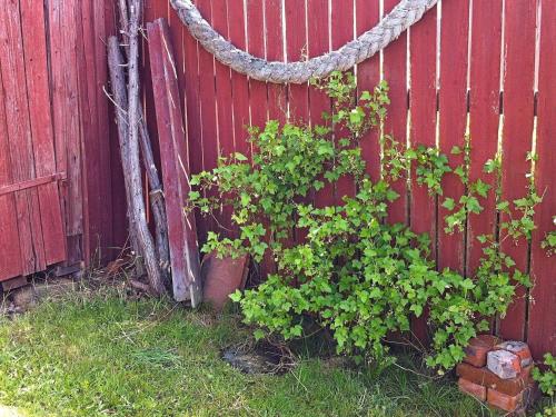 Gerlesborgにある3 person holiday home in HAMBURGSUNDの植物の横に赤い柵