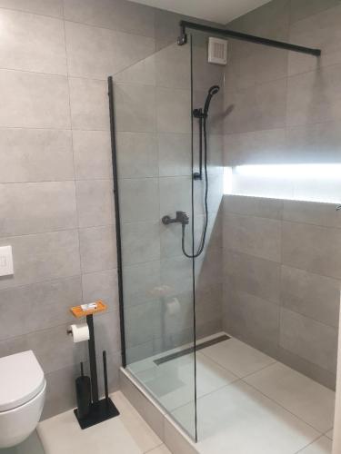 uma cabina de duche na casa de banho com WC em Apartmán Pribina em Nitra