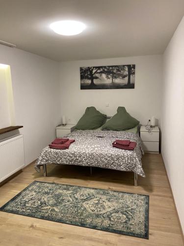 een slaapkamer met een bed met groene kussens en een tapijt bij Gemütliche Ferienwohnung EVIELINE in Todtnau in Todtnau