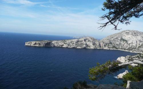 une île au milieu d'une masse d'eau dans l'établissement Le gite devictor, à La Cadière-dʼAzur