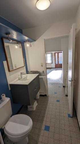 une salle de bain avec toilettes, lavabo et miroir dans l'établissement Escale du château de Promery 1389, à Annecy