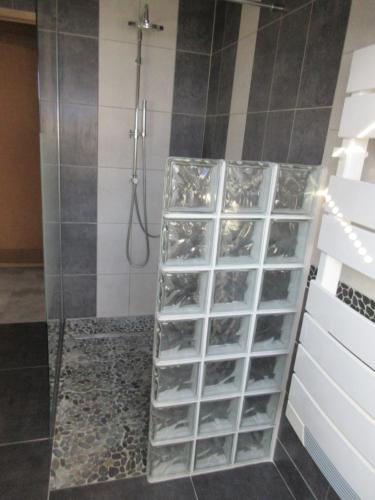 a walk in shower with a glass walled shower stall at L'ECUREUIL in Bousbach