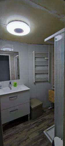une salle de bain avec un lavabo, un miroir et une douche dans l'établissement superbe mobil home, climatisé, ss vis a vis, au calme, dans super domaine, à Fréjus