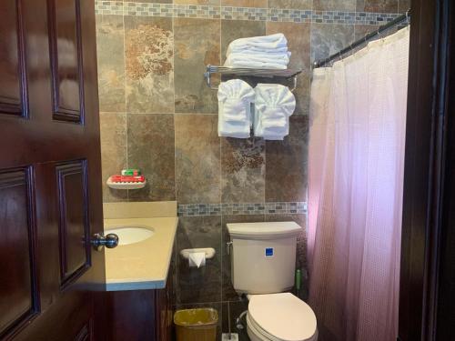 a bathroom with a toilet and a sink at White House by White River in Ocho Rios