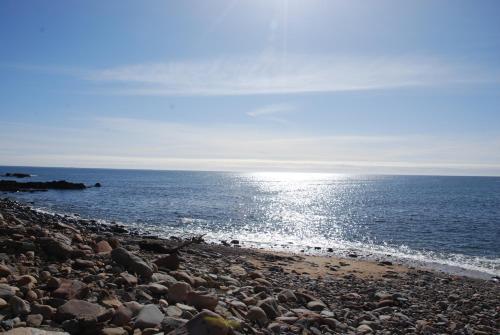 a rocky beach with the sun reflecting on the water at Dunbeath Coastal Retreat in Dunbeath