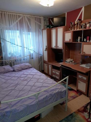 a bedroom with a bed and a desk and a desk at Apartament Straja - (Lupeni) in Lupeni
