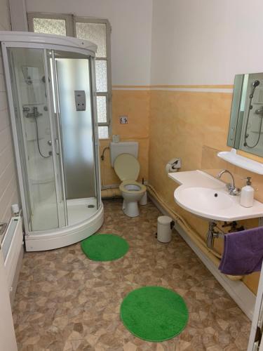 a bathroom with a shower and a toilet and a sink at Hotel Schönbrunnen in Münchenbuchsee