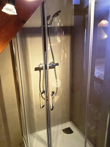 une douche avec une porte vitrée dans une salle de bain dans l'établissement Appartement dans chalet au pied des pistes, à Saint-Lary-Soulan