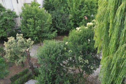 eine Aussicht über einen Garten mit Bäumen und Sträuchern in der Unterkunft Garden Hotel in Gjirokastër