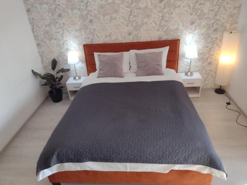 a bedroom with a large bed with two lamps at Delightful Studio Brâncuși in Bucharest