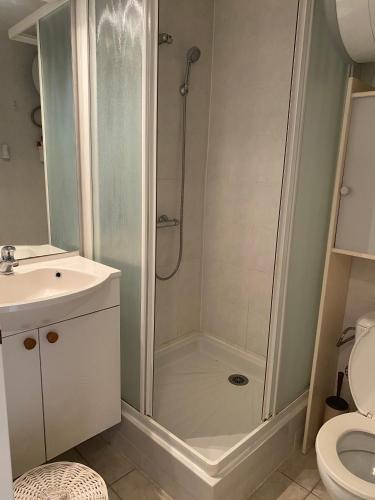 une salle de bain avec une douche avec un lavabo et des toilettes dans l'établissement Joli appartement mezzanine avec parking et wifi La Roquille, au Cap d'Agde