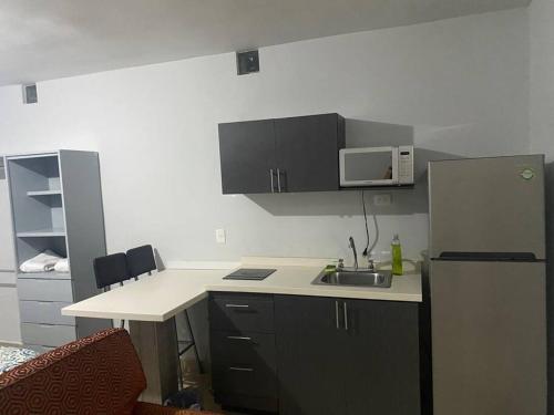Η κουζίνα ή μικρή κουζίνα στο Loft Hermoso en Guadalupe BBVA